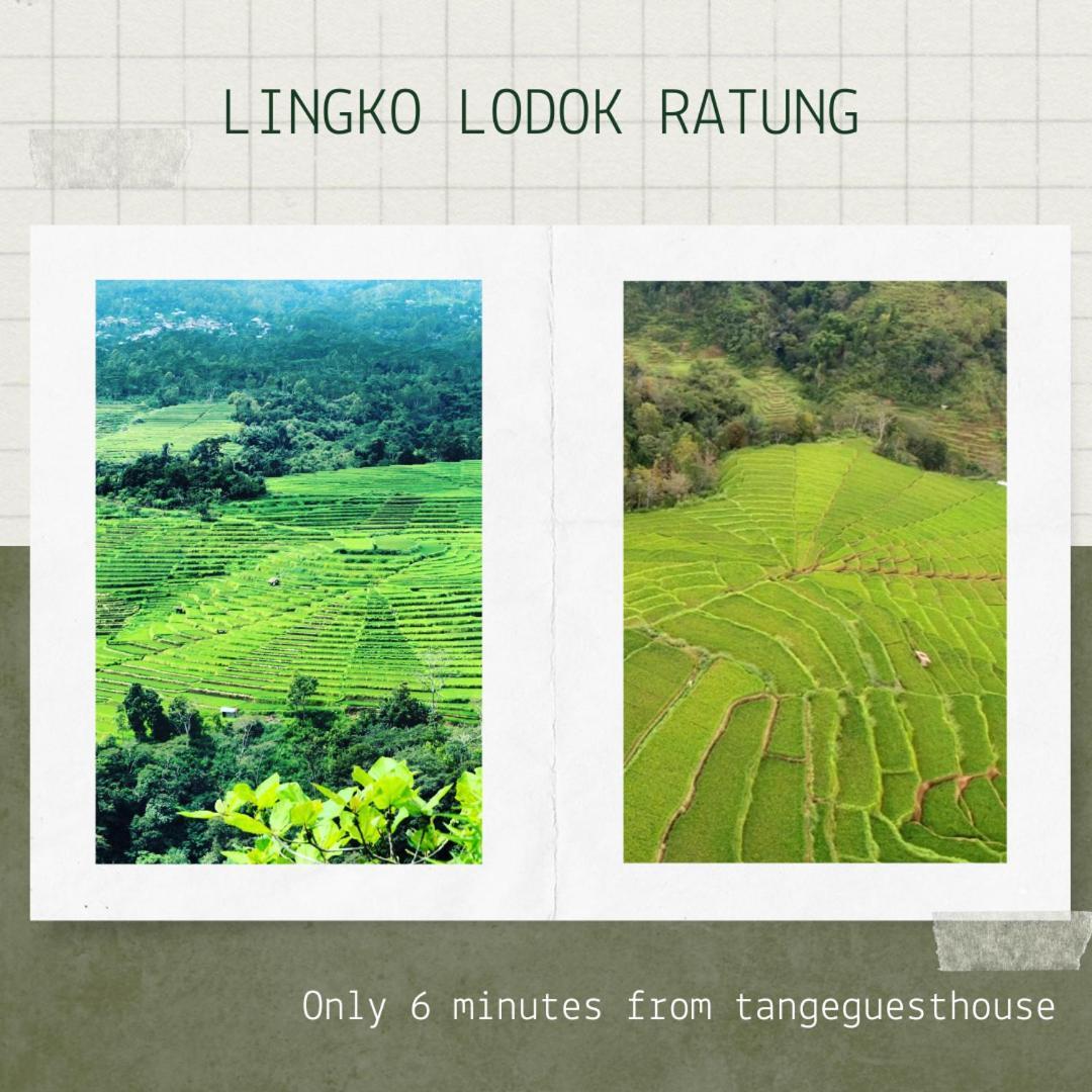 Tange Guest House Ruteng Exterior foto